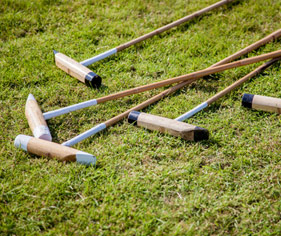 Polo Website Builder & Team Manager