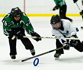 Ringette Website Builder & Team Manager