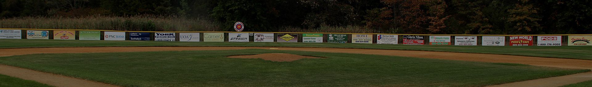 Baseball Field Banner