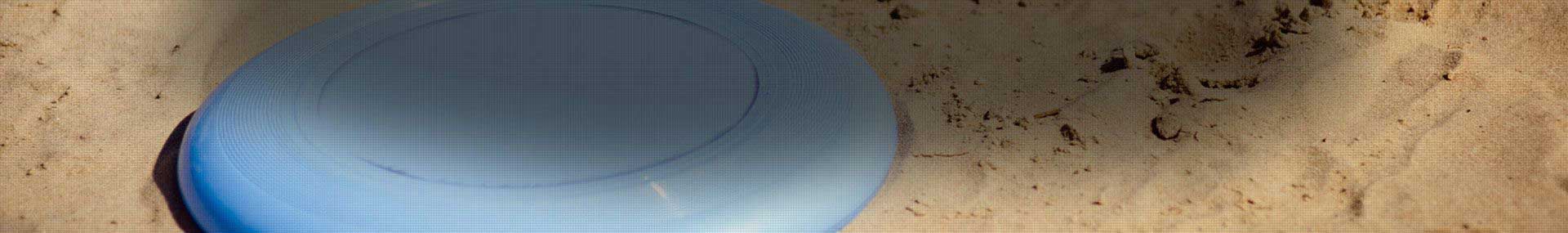 Frisbee 