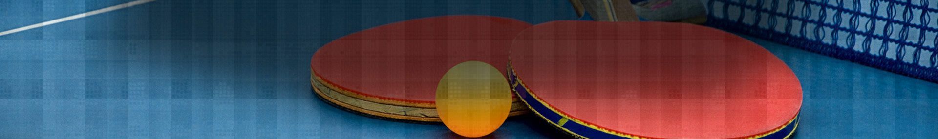 Table Tennis 